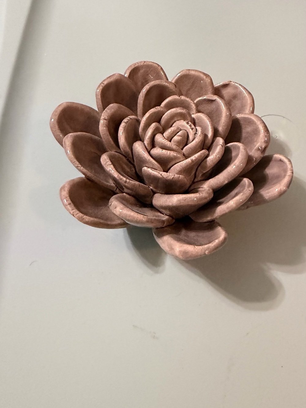 Decorative Ceramic Succulent Accent in Blush Pink